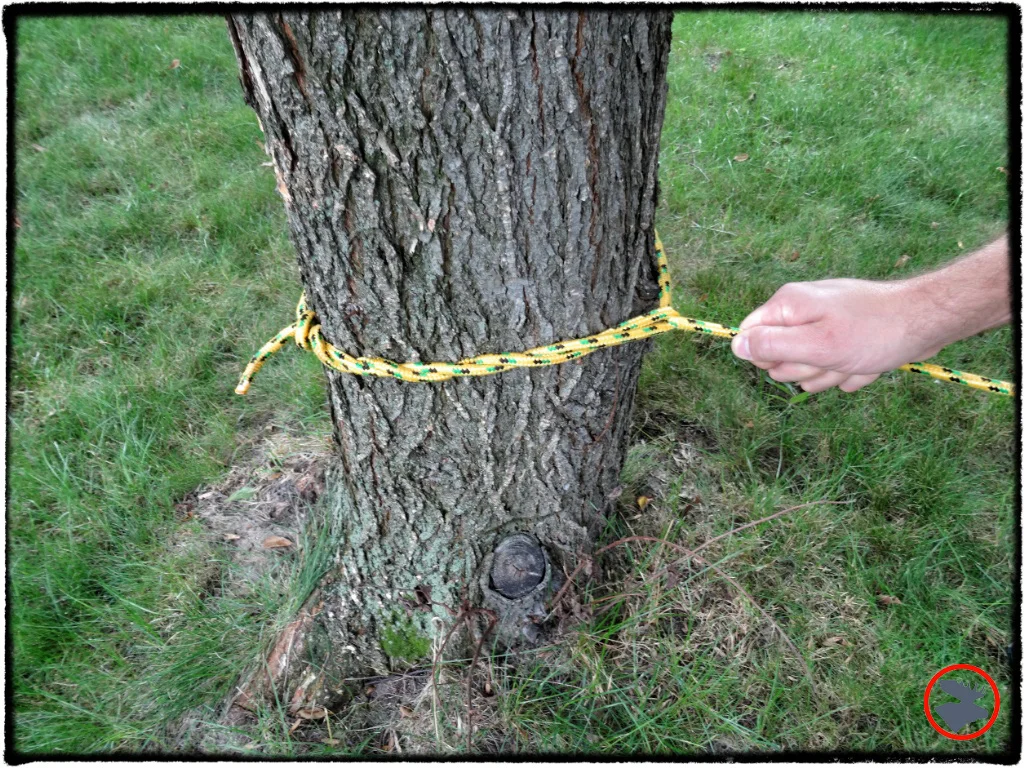 Timber Hitch The Unsung Campsite Hero! — Bull Moose Patrol